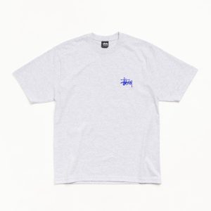 BASIC ST??SSY TEE